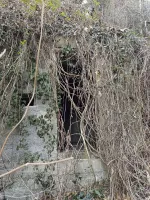 Ligne Maginot - VALABRES - (Blockhaus pour arme infanterie) - Abri et son créneau, à proximité du blockhaus