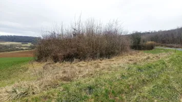 Ligne Maginot - 24 - (Chambre de coupure) - L'élévation du terrain indique l'emplacement de la chambre de coupure