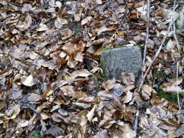Ligne Maginot - BOIS de SIGNY 2 - (Abri) - Environnement
Borne