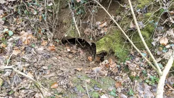 Ligne Maginot - BOIS DE SIGNY 2 - (Abri) - 
