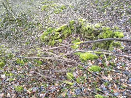 Ligne Maginot - L2 - BOIS DE SIGNY - (Observatoire indéterminé) - Environnement
Cuve ou abri