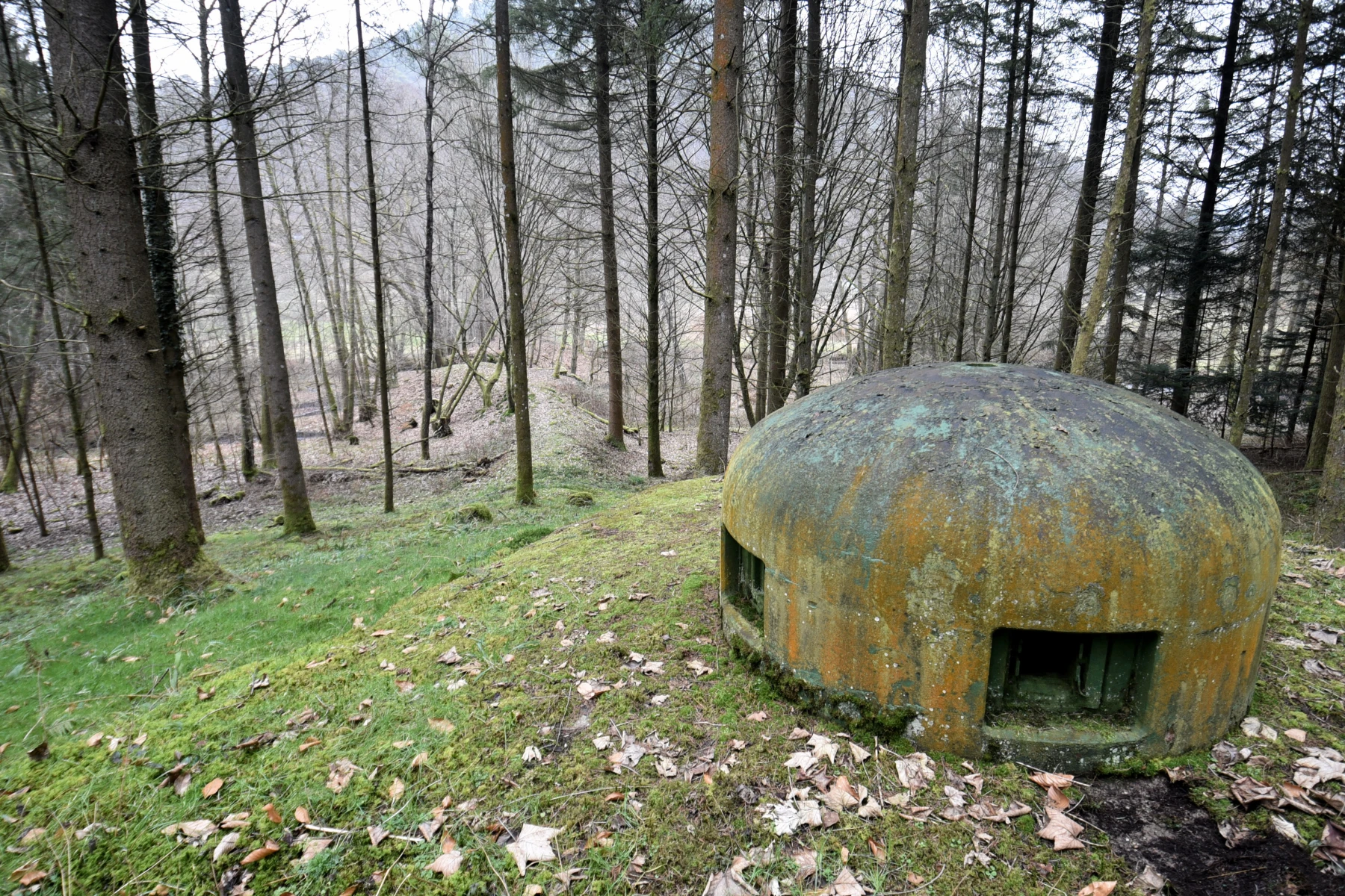 Ligne Maginot - WINECKERTHAL EST - (Casemate d'infanterie - Simple) -  - Ludovic KNAPP