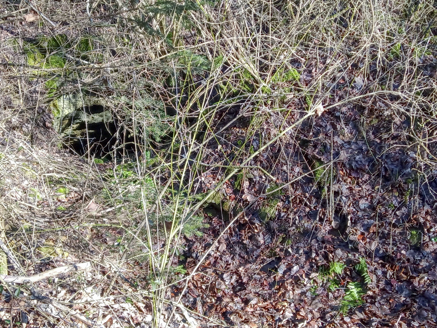 Ligne Maginot - CARRIERE DE LA FERME CHOPPEY (III/132° RIF) - (PC de Quartier) - L'entrée en puits Est - Marc Fossoul