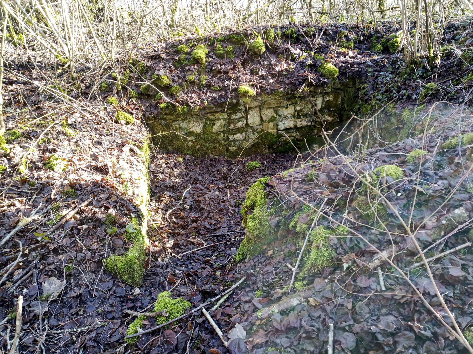 Ligne Maginot - CARRIERE DE LA FERME CHOPPEY (III/132° RIF) - (PC de Quartier) - Emplacement avec un entrée à droite donnant sur une tranchée - Marc Fossoul