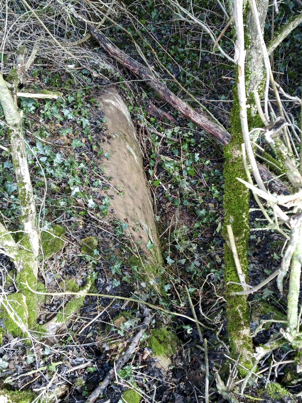 Ligne Maginot - 55L - (Chambre de coupure) - Seul partie visible - Marc Fossoul