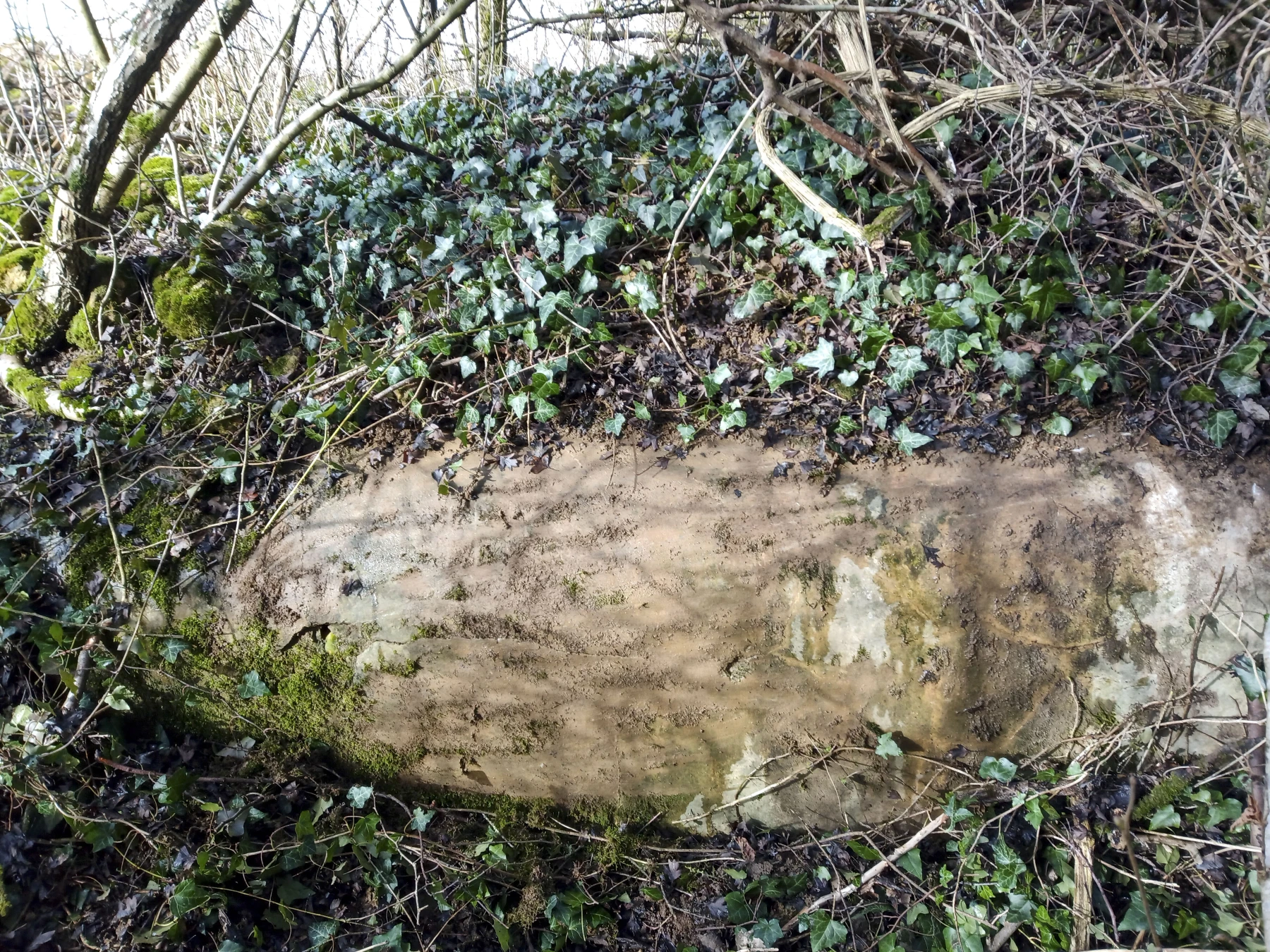Ligne Maginot - 55L - (Chambre de coupure) - Seul partie visible - Marc Fossoul