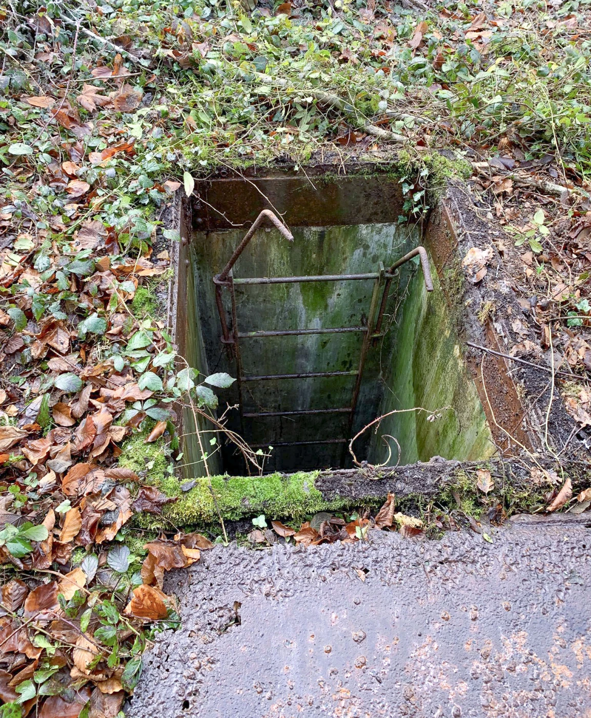 Ligne Maginot - 54L - (Chambre de coupure) -  - Alexis Locatelli