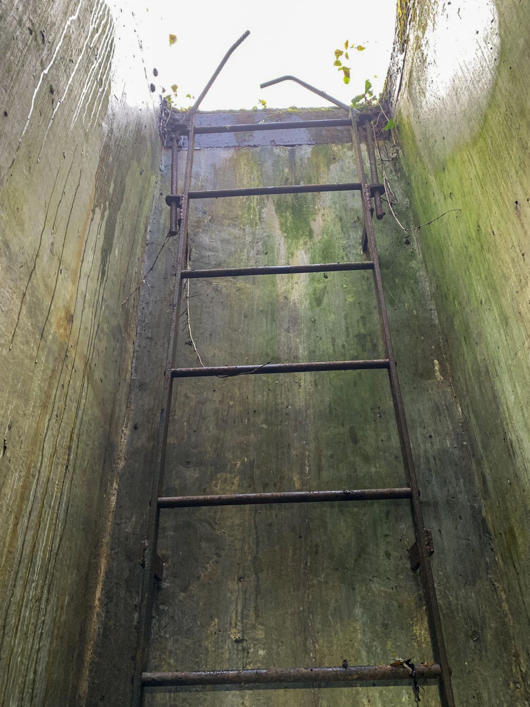 Ligne Maginot - 54L - (Chambre de coupure) -  - Alexis Locatelli