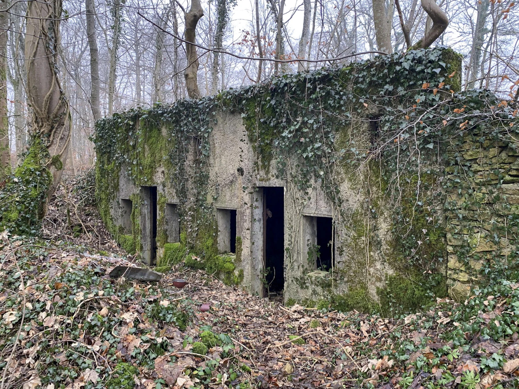 Ligne Maginot - SERROUVILLE (SOUS-SECTEUR AUMETZ - 128° RIF) - (PC de Sous-Secteur) - PC à deux alvéoles - Alexis Locatelli
