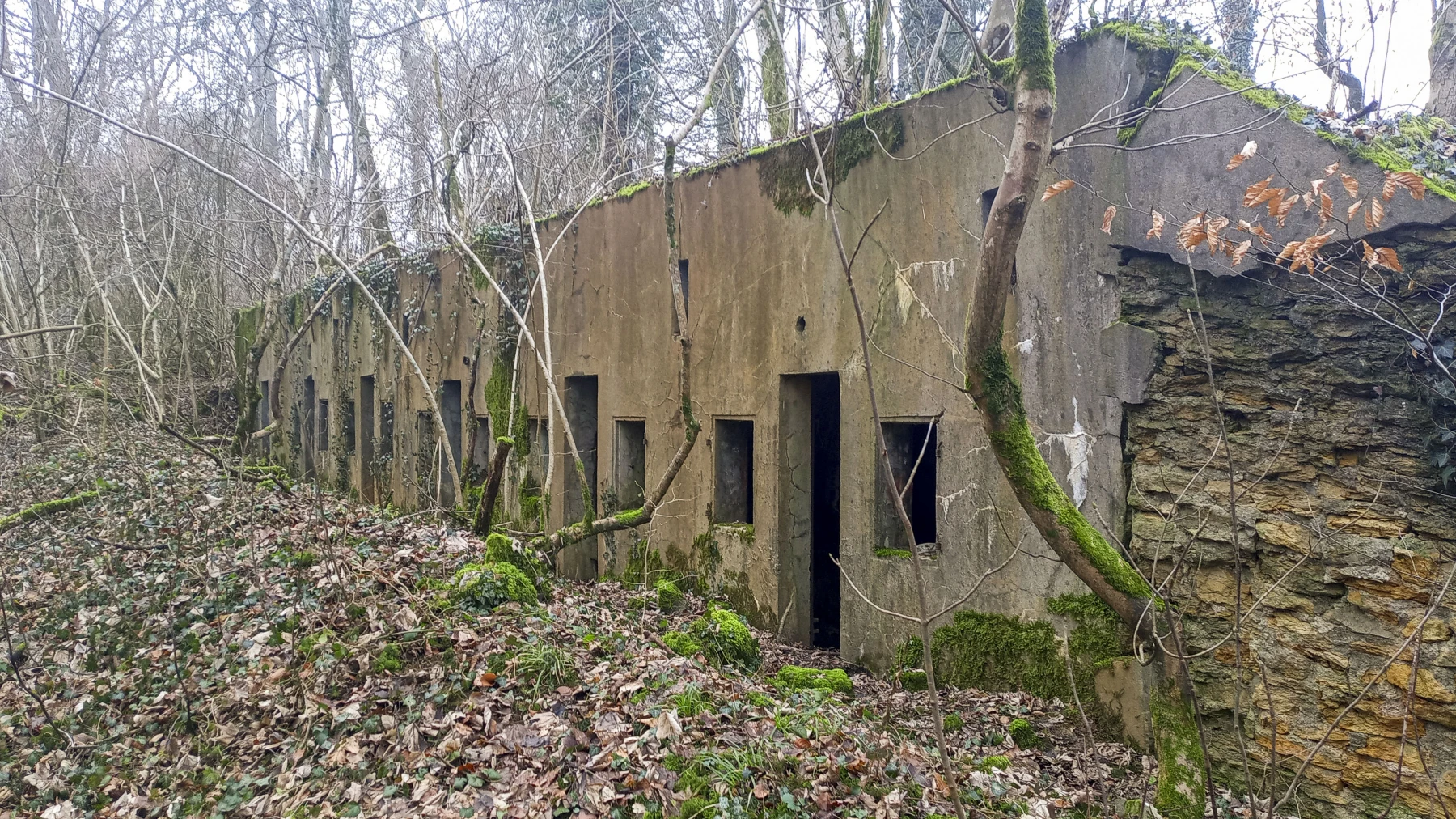 Ligne Maginot - SERROUVILLE (SOUS-SECTEUR AUMETZ - 128° RIF) - (PC de Sous-Secteur) - PC à six alvéoles - Marc Fossoul