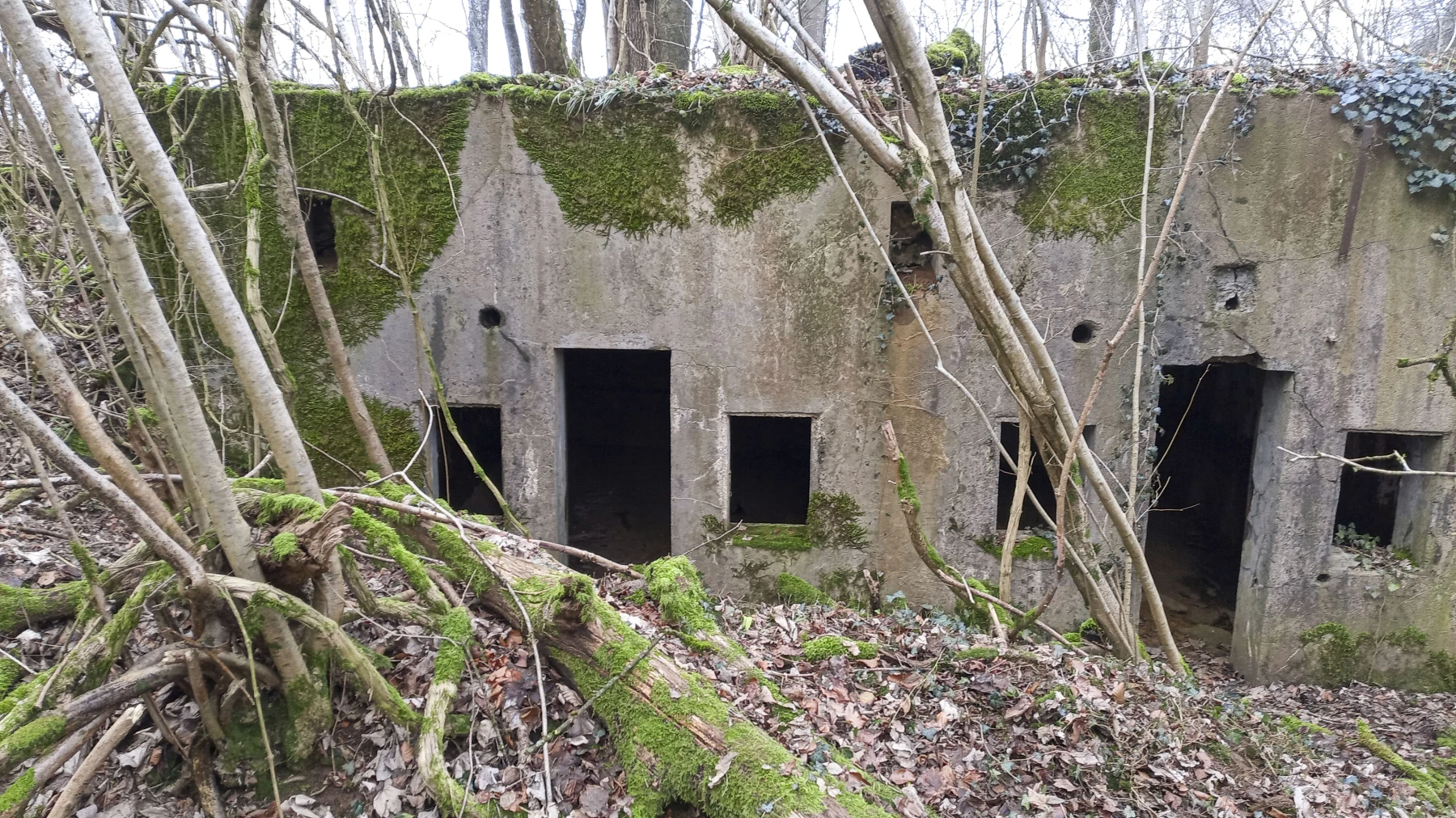 Ligne Maginot - SERROUVILLE (SOUS-SECTEUR AUMETZ - 128° RIF) - (PC de Sous-Secteur) - PC à six alvéoles - Marc Fossoul