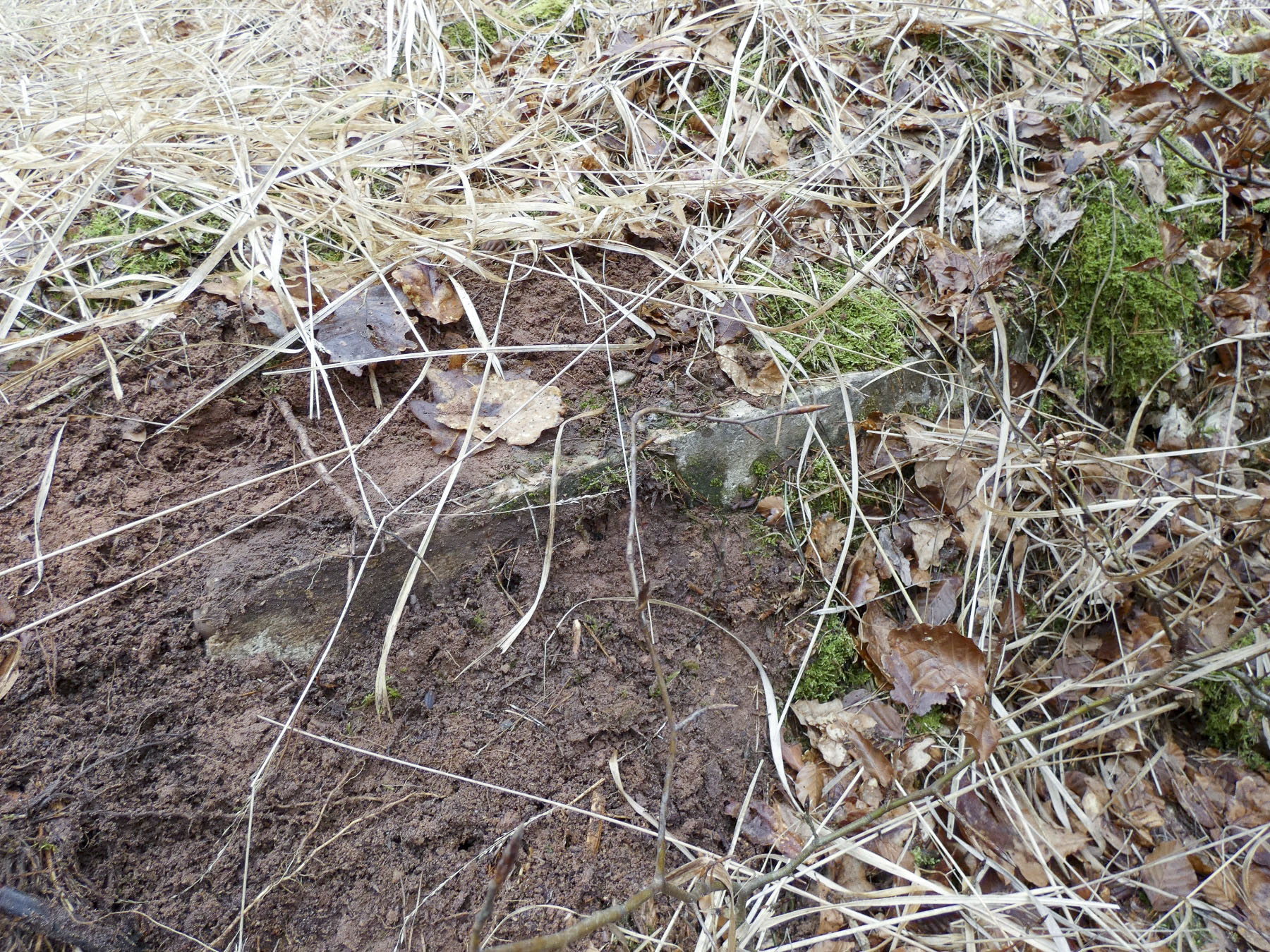 Ligne Maginot - WALDECK (8° BIE 60° RMAF) - (Position d'artillerie préparée) - A droite de la niche la plus à l'Est on distingue une structure remblayée. Une quatrième niche à munitions ? - STENGER Mathieu