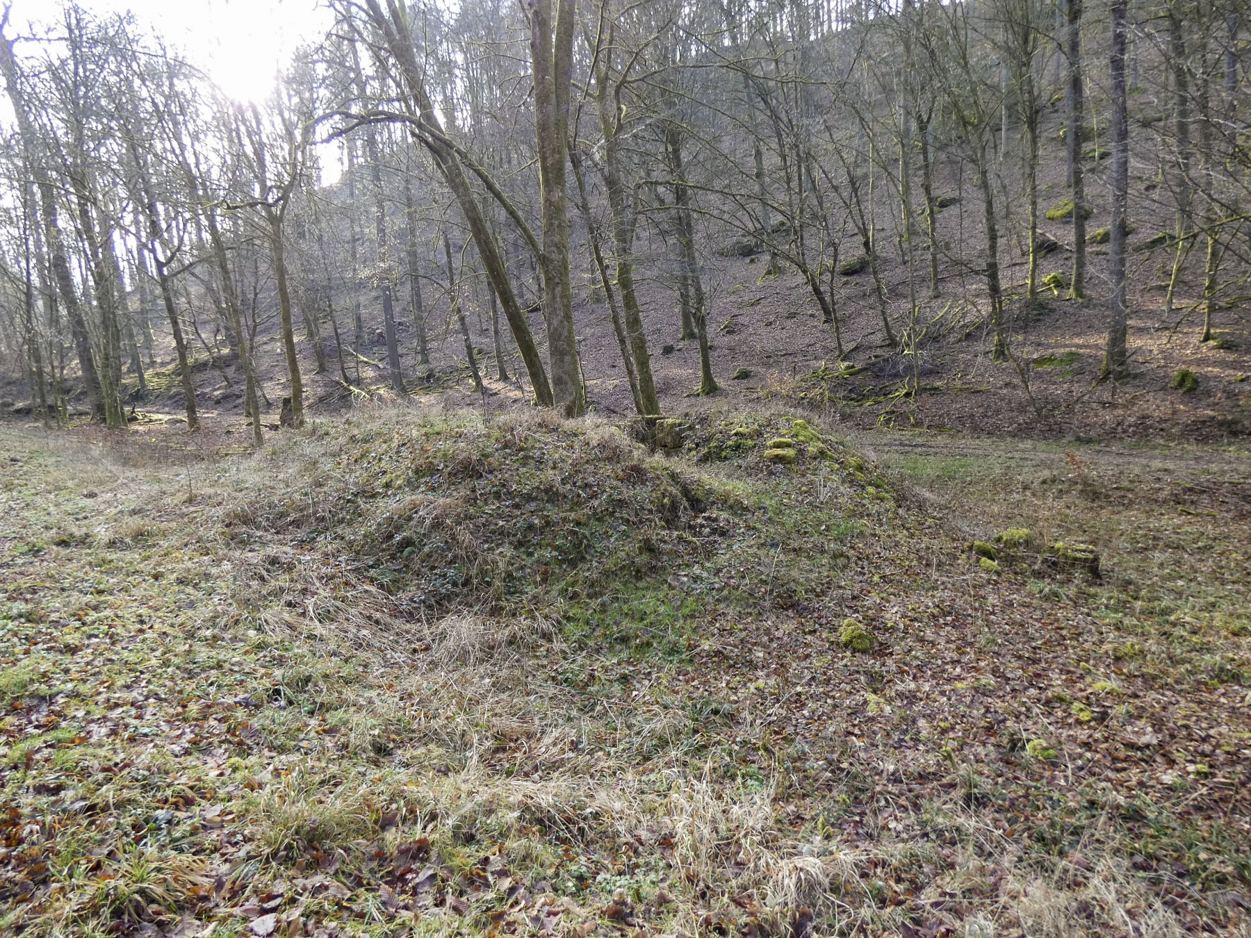 Ligne Maginot - KANDELBERG SUD - (Blockhaus pour arme infanterie) - La cuve vue depuis la route. - STENGER Mathieu