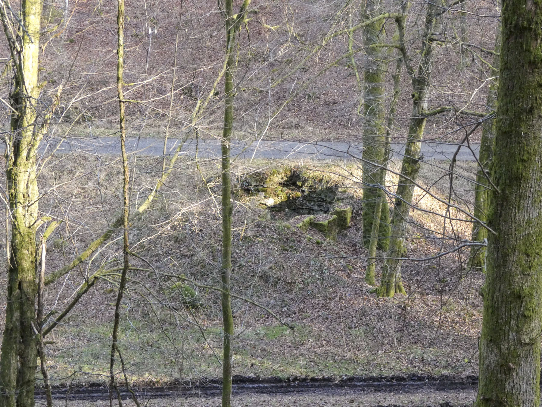 Ligne Maginot - KANDELBERG SUD - (Blockhaus pour arme infanterie) - La cuve vue depuis la pente. - STENGER Mathieu