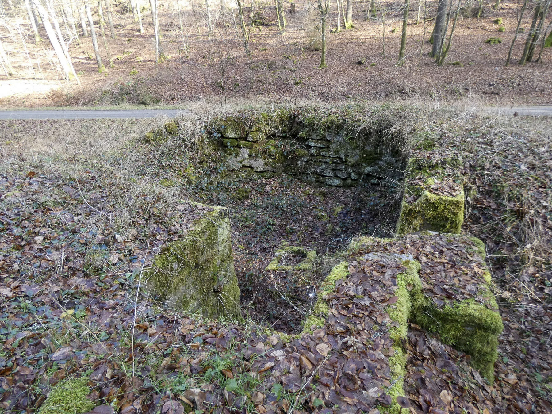 Ligne Maginot - KANDELBERG SUD - (Blockhaus pour arme infanterie) - La cuve sans les détritus. - STENGER Mathieu
