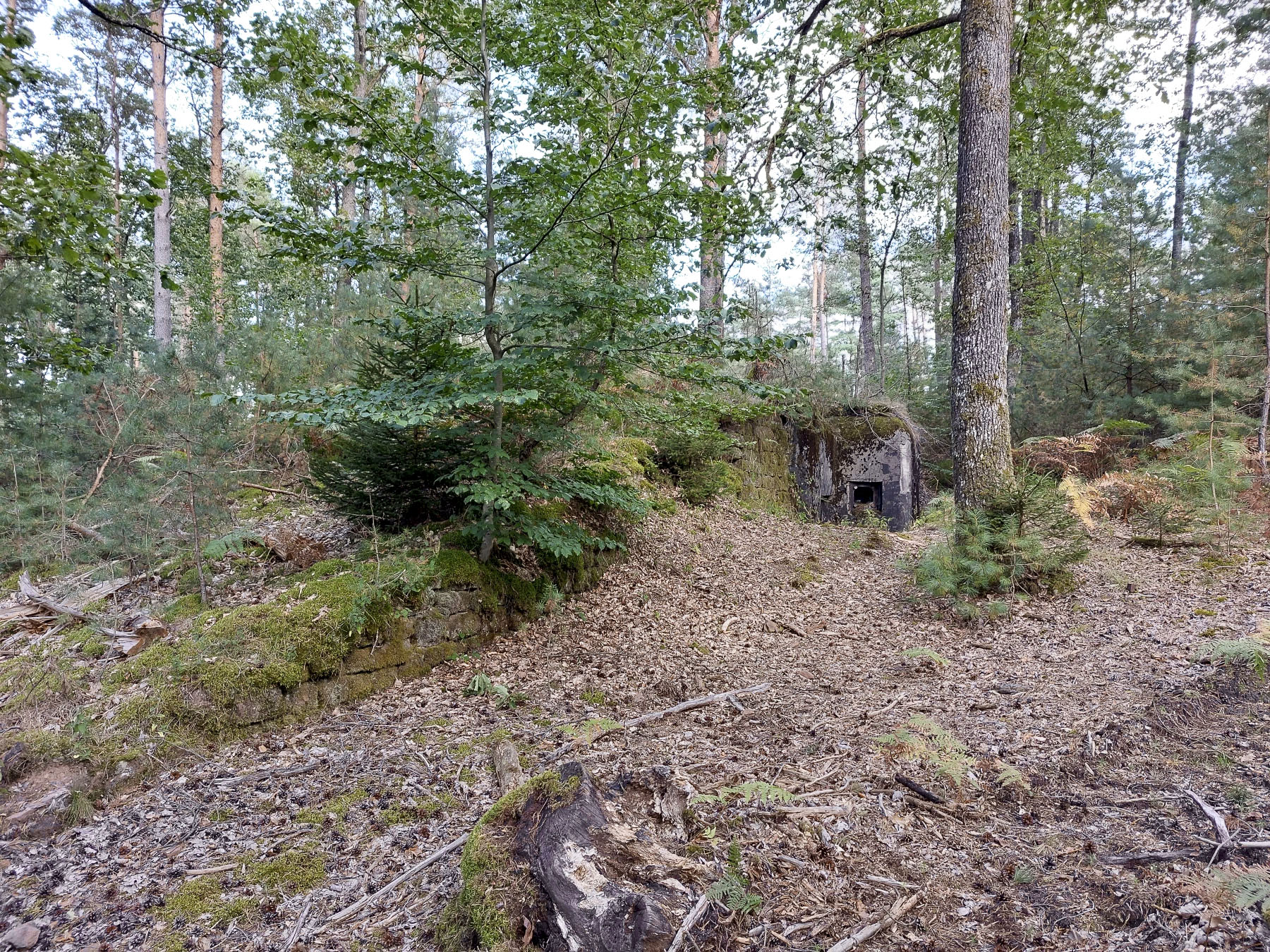 Ligne Maginot - MAIN DU PRINCE 1 - (Blockhaus pour canon) - La gorge du blockhaus est prolongée sur la gauche par un mur d'aile en pierres sèches  - Gregory Fuchs