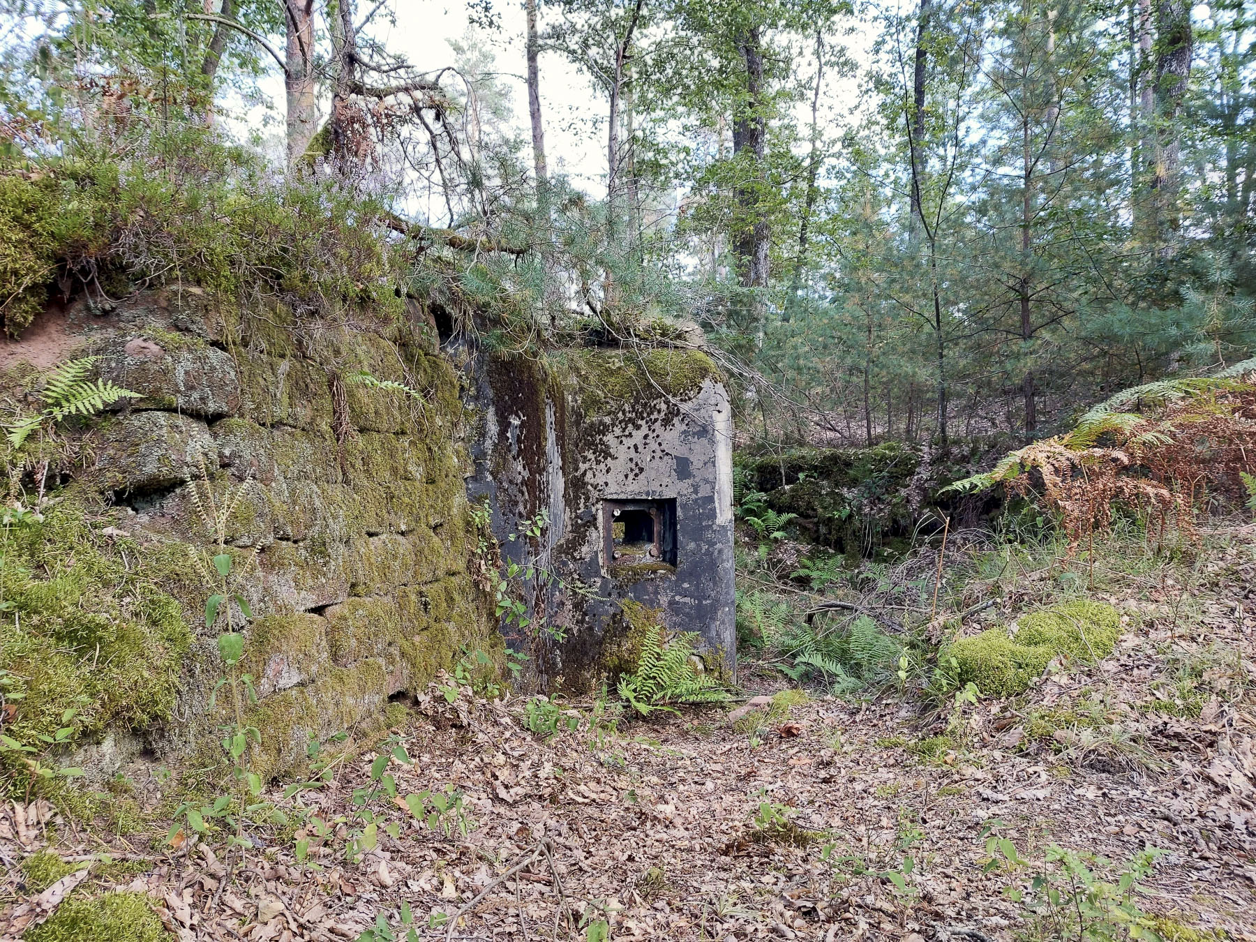 Ligne Maginot - MAIN DU PRINCE 1 - (Blockhaus pour canon) - Mur d'aile en pierres sèches et créneau gauche de la caponnière flanquant vers l'ouest  - Gregory Fuchs