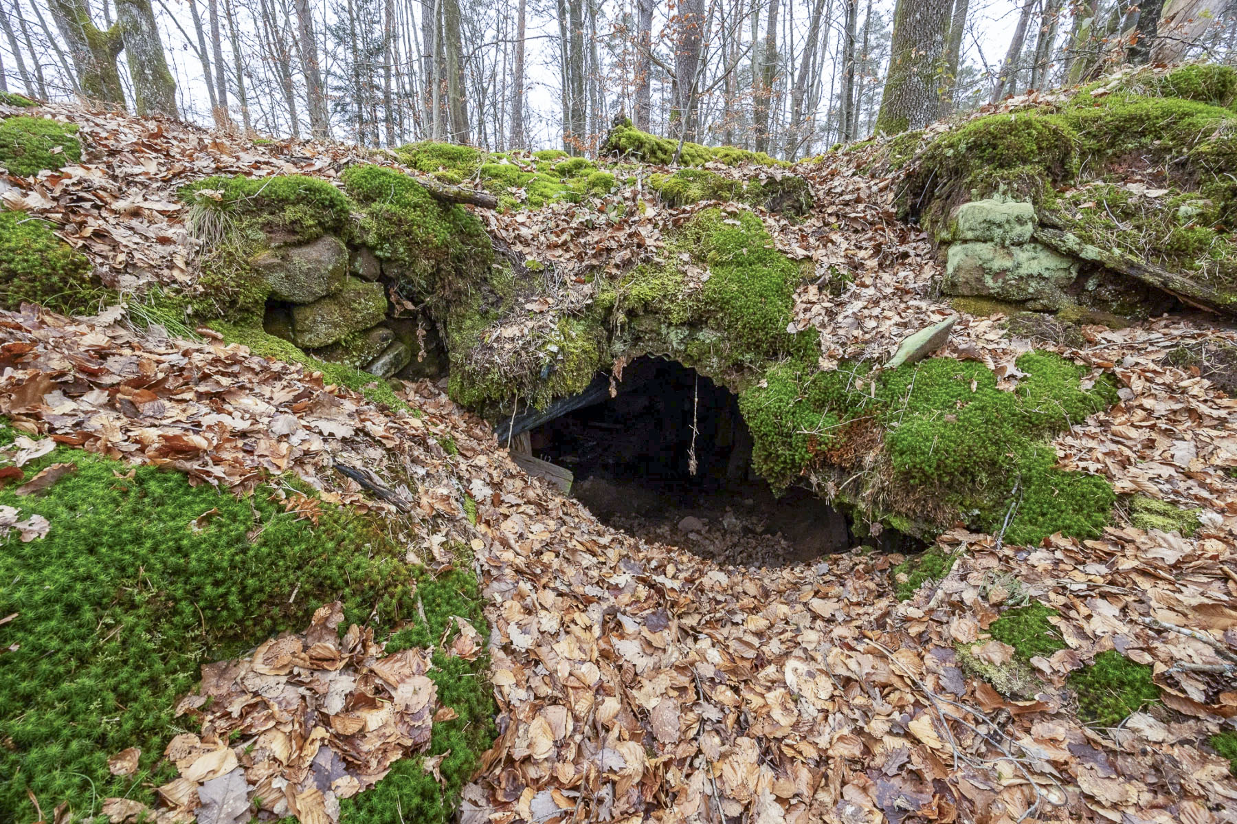 Ligne Maginot - PFAFFENBERG SUD - (Abri) - L'entrée - Lenhard Christian