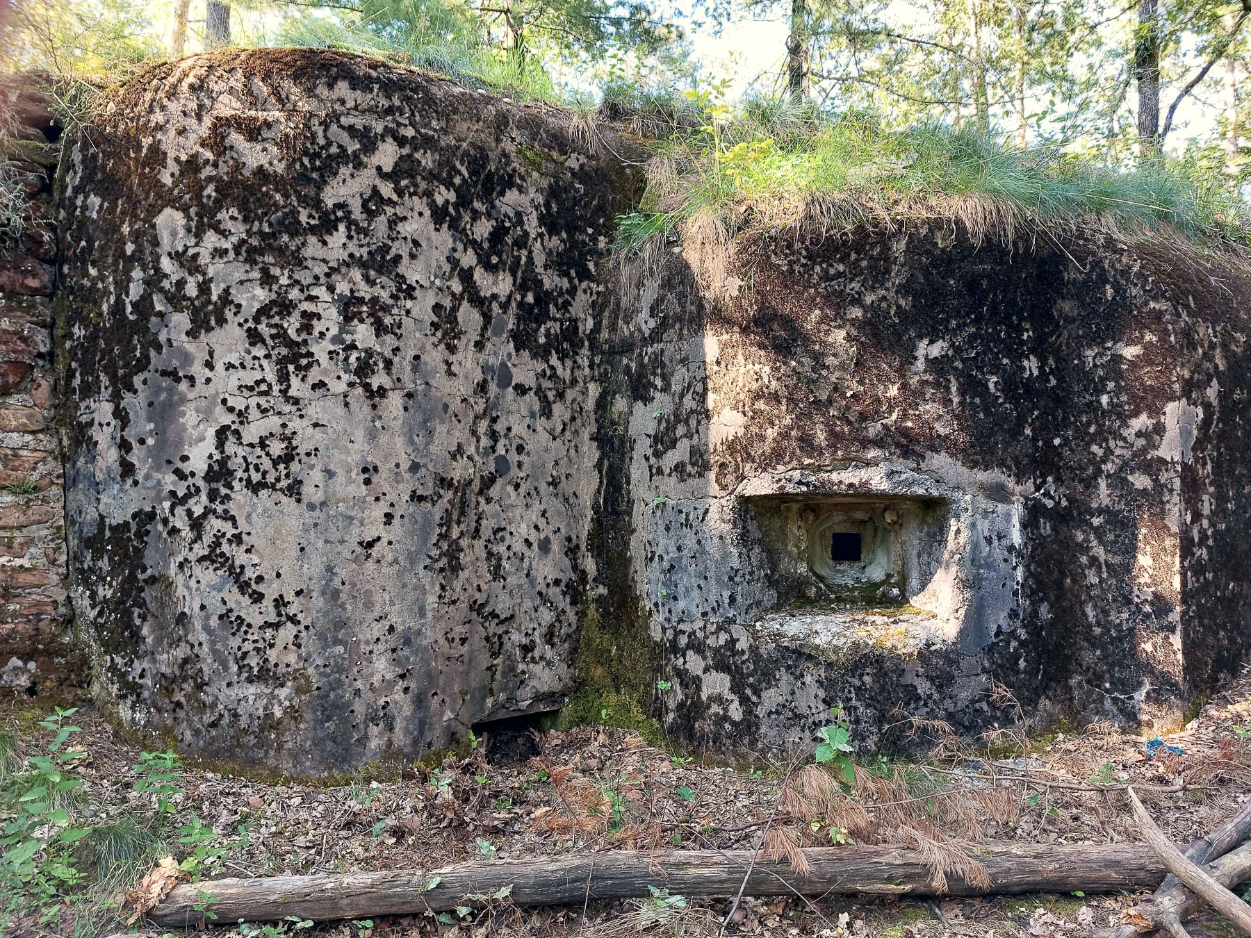 Ligne Maginot - MAIN DU PRINCE 2 - (Blockhaus pour arme infanterie) - Créneau de flanquement à l'extrémité gauche de la façade - Gregory Fuchs