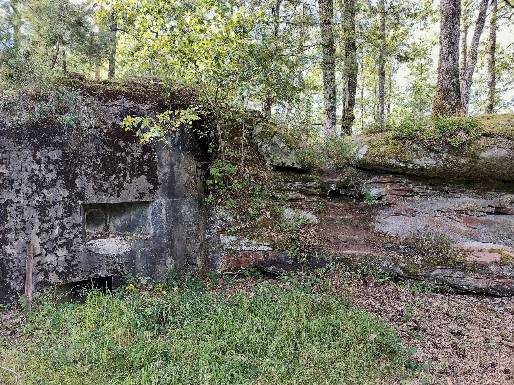 Ligne Maginot - MAIN DU PRINCE 2 - (Blockhaus pour arme infanterie) - Créneau de flanquement à l'extrémité droite de la façade
A coté, un petit escalier à été creusé dans l'escarpement rocheux - Gregory Fuchs
