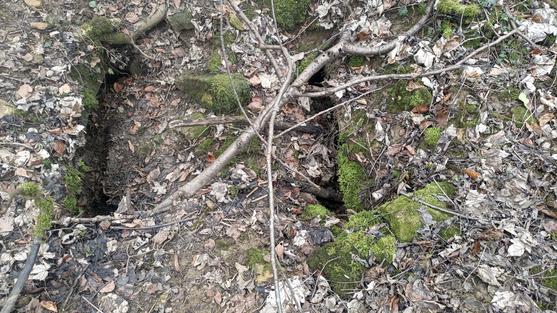 Ligne Maginot - SERROUVILLE (SOUS-SECTEUR AUMETZ - 128° RIF) - (PC de Sous-Secteur) - Abri de stockage 1 - Marc Fossoul