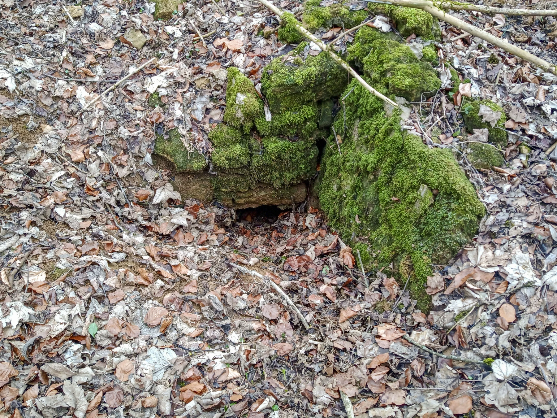 Ligne Maginot - SERROUVILLE (SOUS-SECTEUR AUMETZ - 128° RIF) - (PC de Sous-Secteur) - Mur et entrée à proximité - Alexis Locatelli