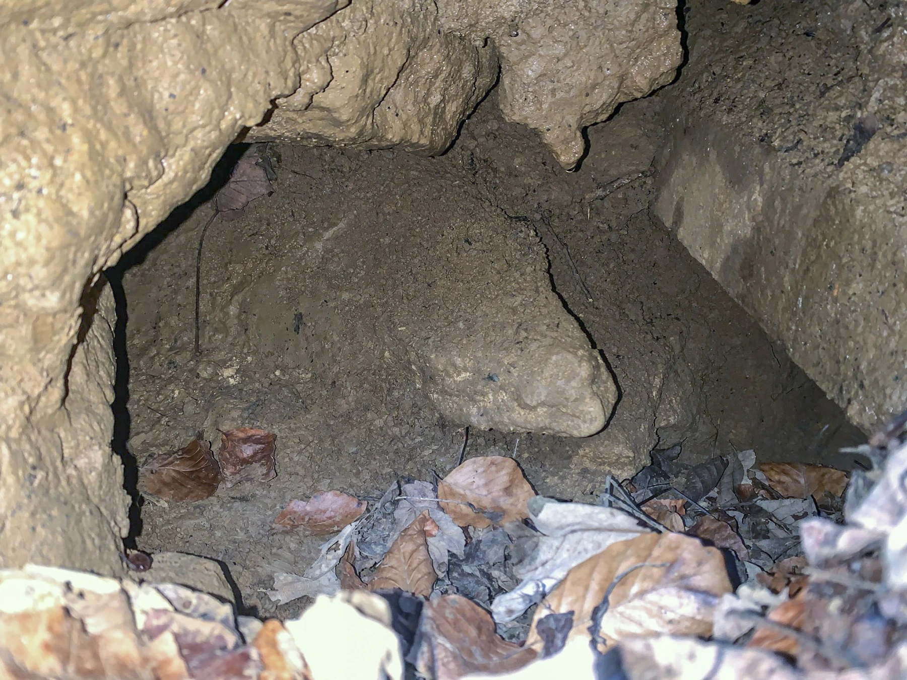 Ligne Maginot - SERROUVILLE (SOUS-SECTEUR AUMETZ - 128° RIF) - (PC de Sous-Secteur) - Mur et entrée à proximité
L'intérieur avec à droite le début d'un galerie direction les alvéoles de stockage - Alexis Locatelli