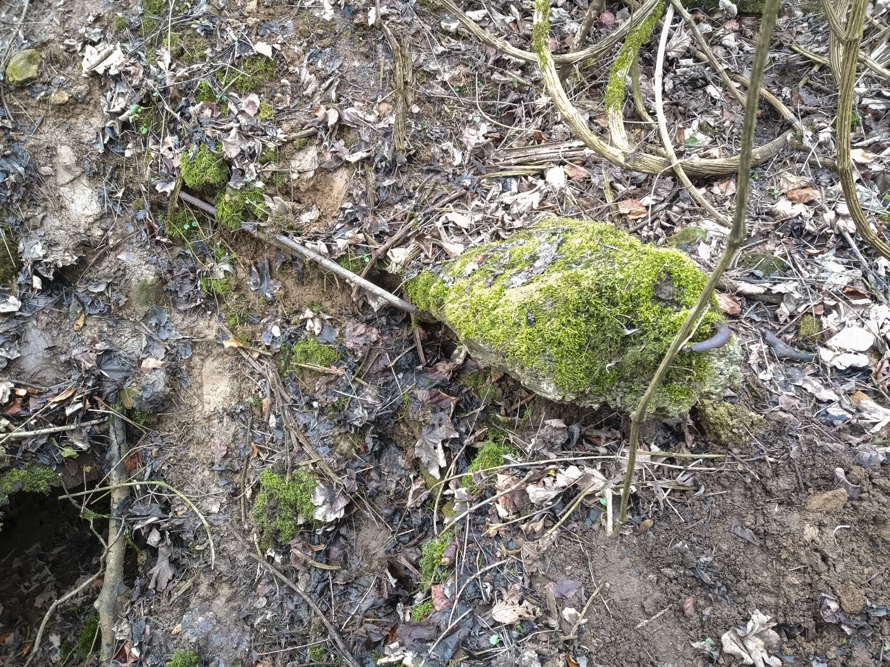 Ligne Maginot - SERROUVILLE (SOUS-SECTEUR AUMETZ - 128° RIF) - (PC de Sous-Secteur) - Restes d'un poteau - Alexis Locatelli