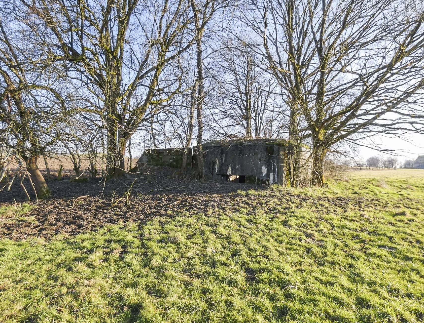 Ligne Maginot - LEGERET NORD 3 - C5-B - (Blockhaus pour canon) - Le blockhaus vu depuis le nord. - STENGER Mathieu