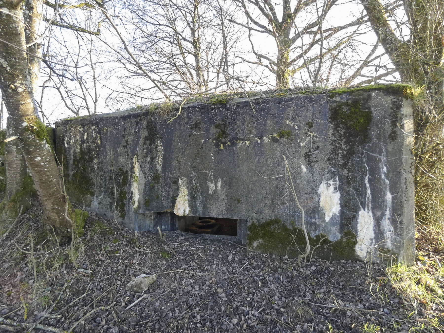 Ligne Maginot - LEGERET NORD 3 - C5-B - (Blockhaus pour canon) - La façade de tir du canon anti-char. - STENGER Mathieu