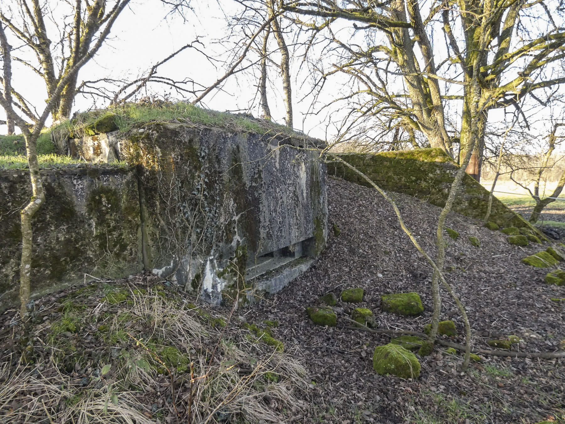 Ligne Maginot - LEGERET NORD 3 - C5-B - (Blockhaus pour canon) - La façade de flanquement vers la droite pour mitrailleuse. Remarquer le mur de protection en maçonnerie. - STENGER Mathieu