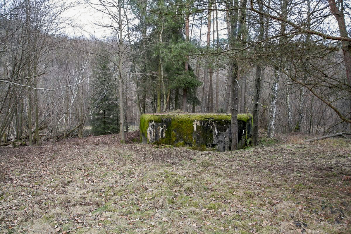 Ligne Maginot - DAMBACH EST - (Blockhaus pour arme infanterie) -  - B. Henrich