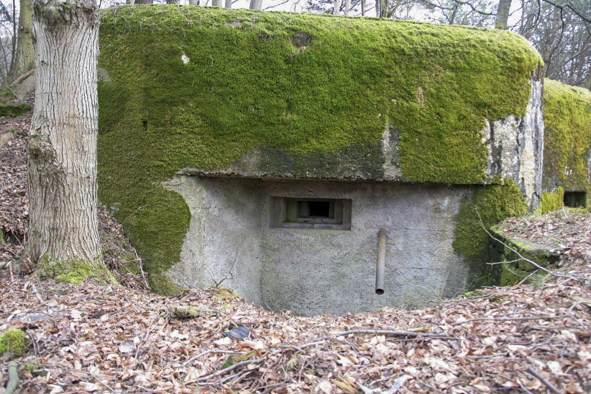 Ligne Maginot - DAMBACH EST - (Blockhaus pour arme infanterie) -  - B. Henrich