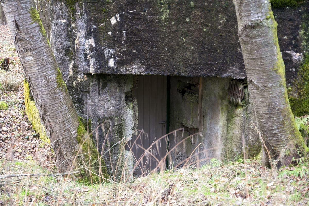 Ligne Maginot - DAMBACH EST - (Blockhaus pour arme infanterie) -  - B. Henrich