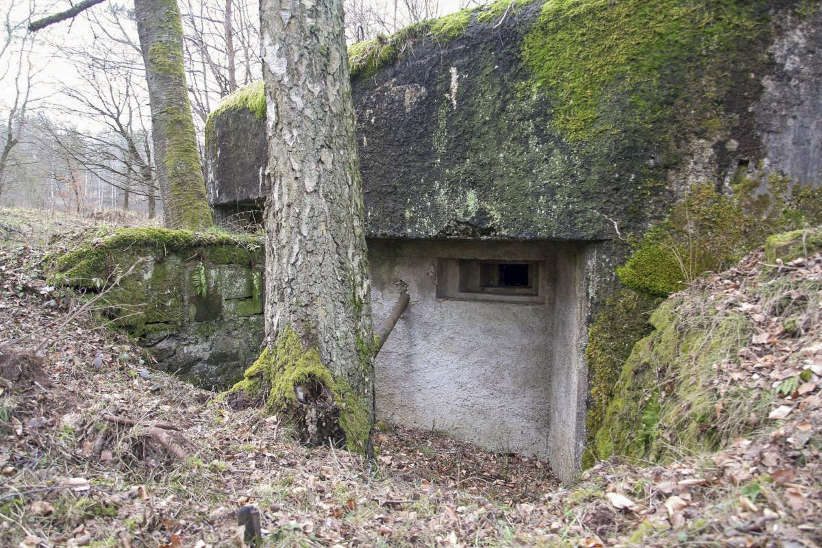 Ligne Maginot - DAMBACH EST - (Blockhaus pour arme infanterie) -  - B. Henrich