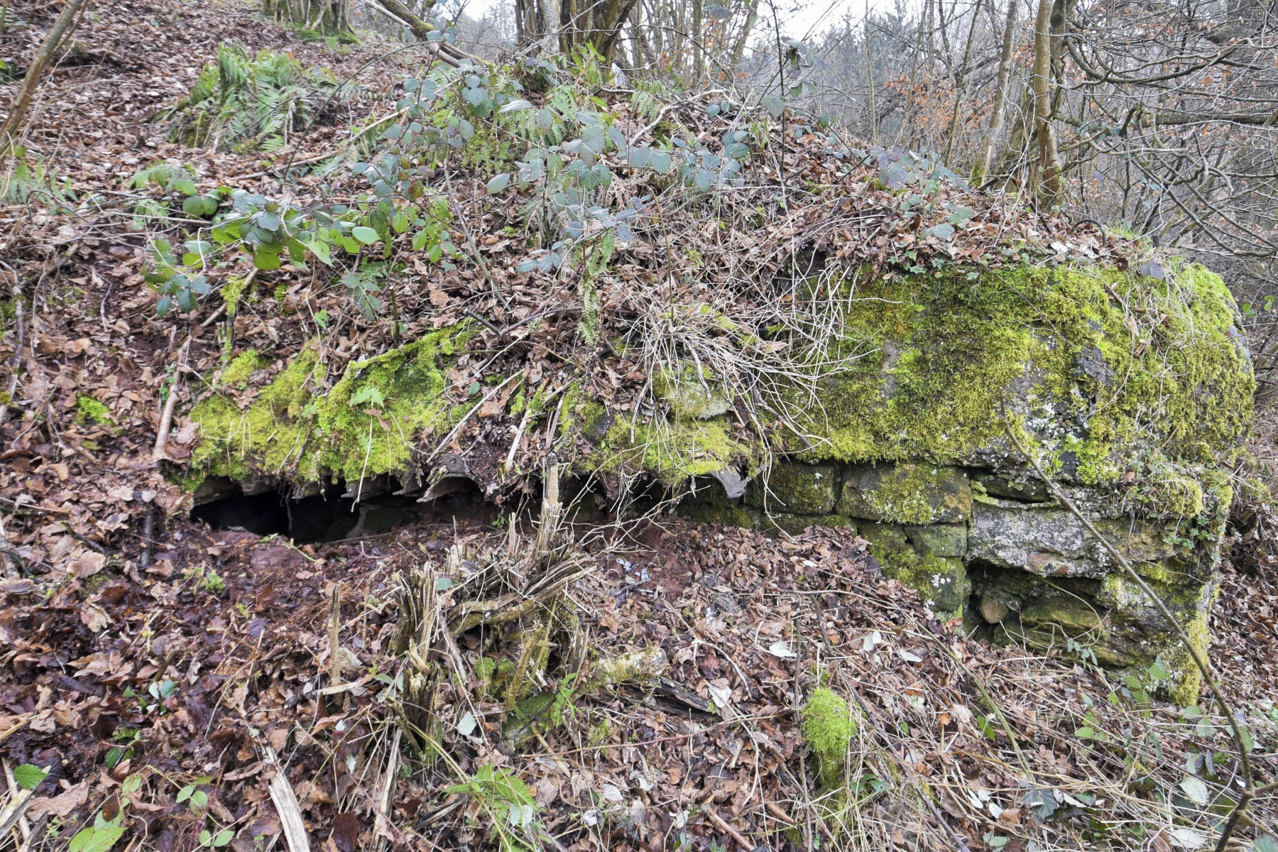 Ligne Maginot - HEILLINGEN DELL - (Blockhaus pour arme infanterie) - Entrée du blockhaus - Ludovic KNAPP