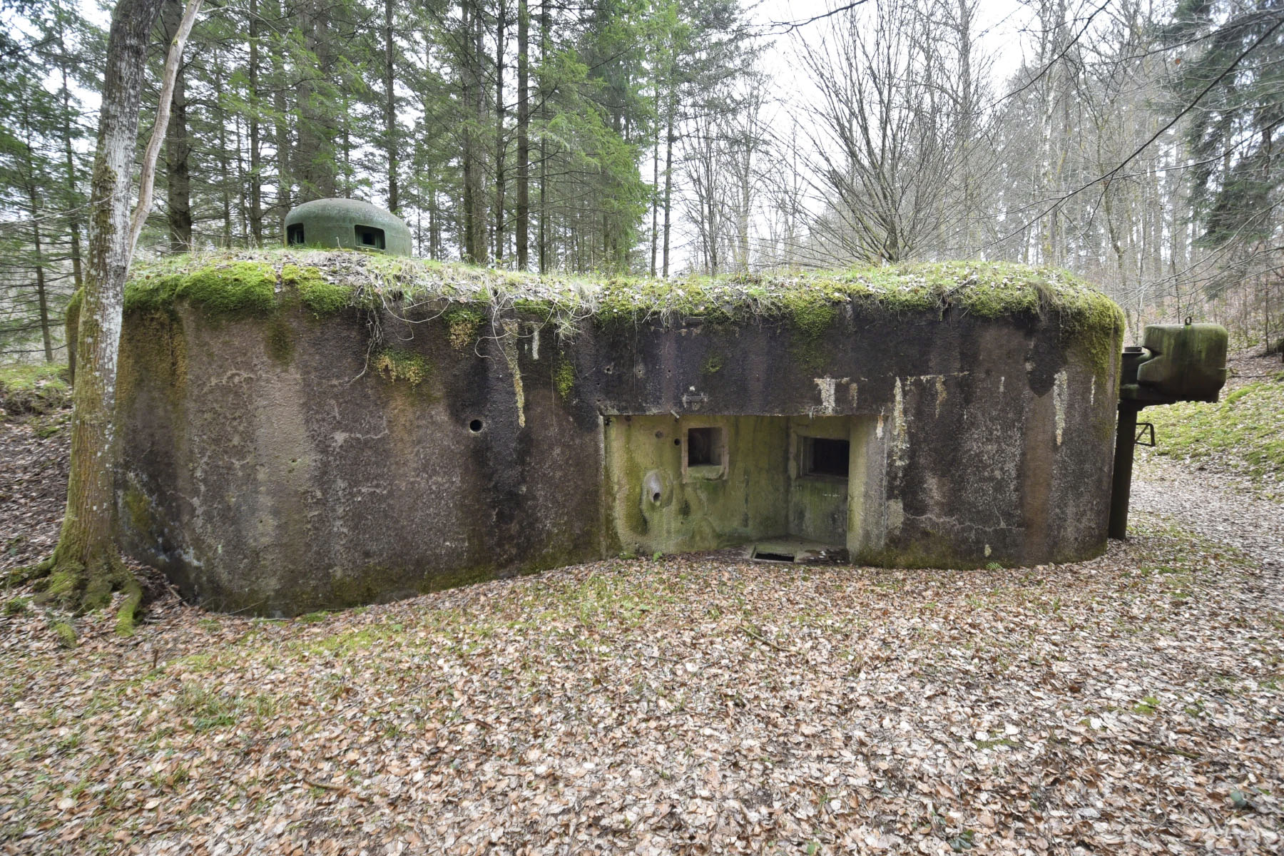 Ligne Maginot - WINECKERTHAL OUEST - (Casemate d'infanterie - Double) -  - Ludovic KNAPP