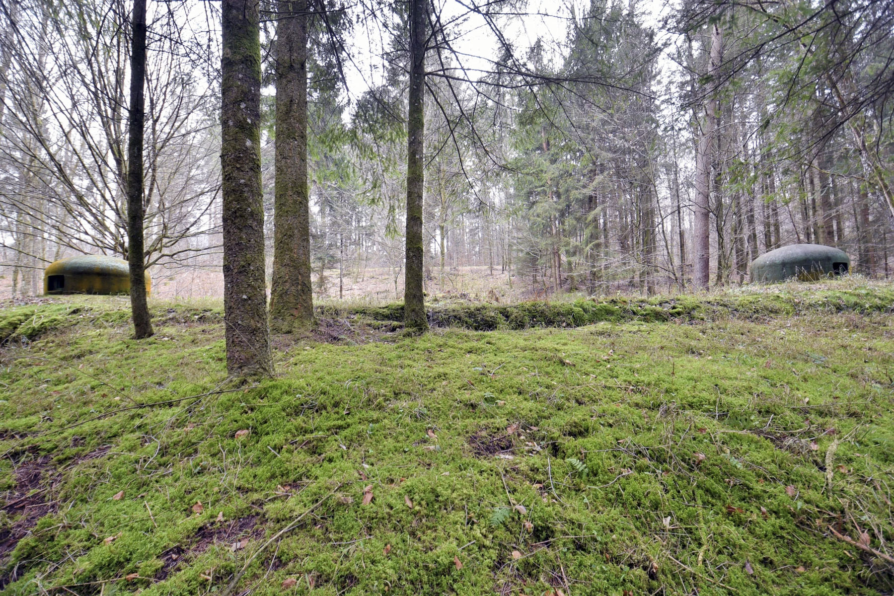Ligne Maginot - WINECKERTHAL OUEST - (Casemate d'infanterie - Double) - Les cloches - Ludovic KNAPP