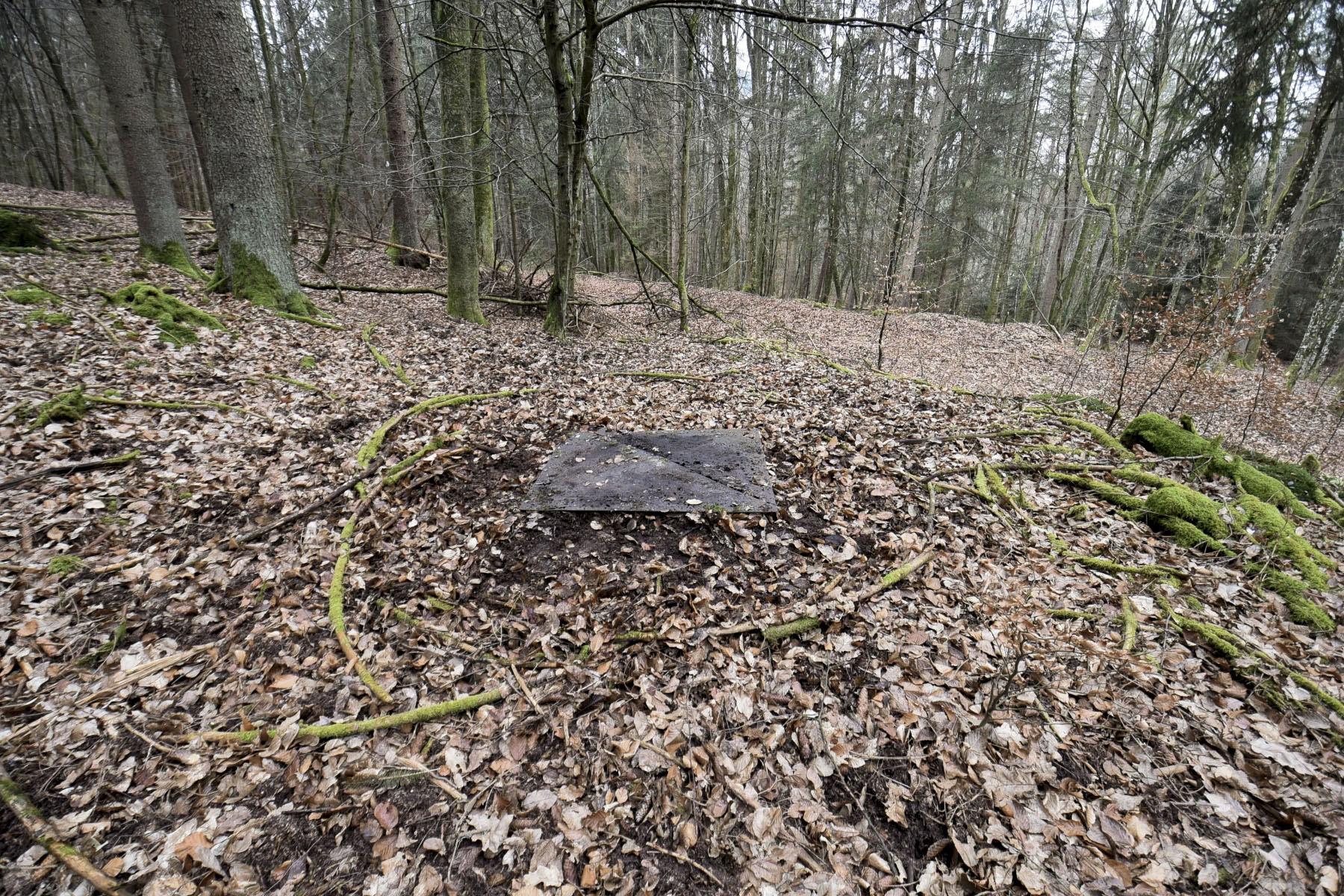 Ligne Maginot - D3 - (Chambre de coupure) -  - Ludovic KNAPP