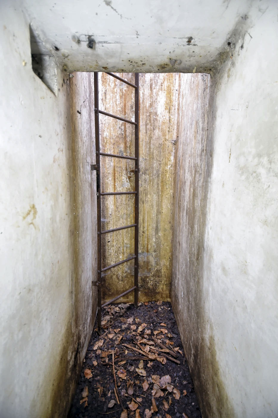 Ligne Maginot - D3 - (Chambre de coupure) -  - Ludovic KNAPP