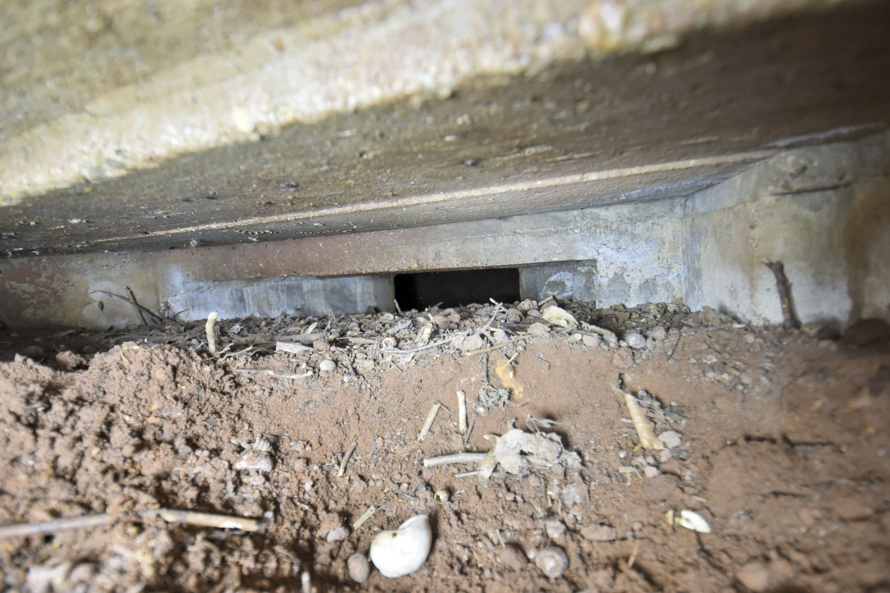 Ligne Maginot - LANGENACKER EST - (Blockhaus pour arme infanterie) -  - Ludovic KNAPP