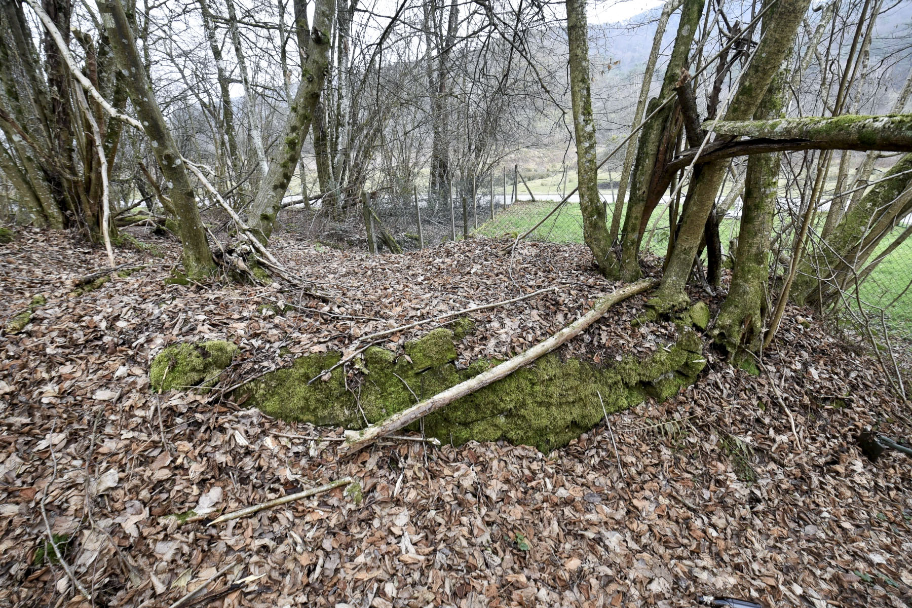 Ligne Maginot - LANGENACKER EST - (Blockhaus pour arme infanterie) -  - Ludovic KNAPP