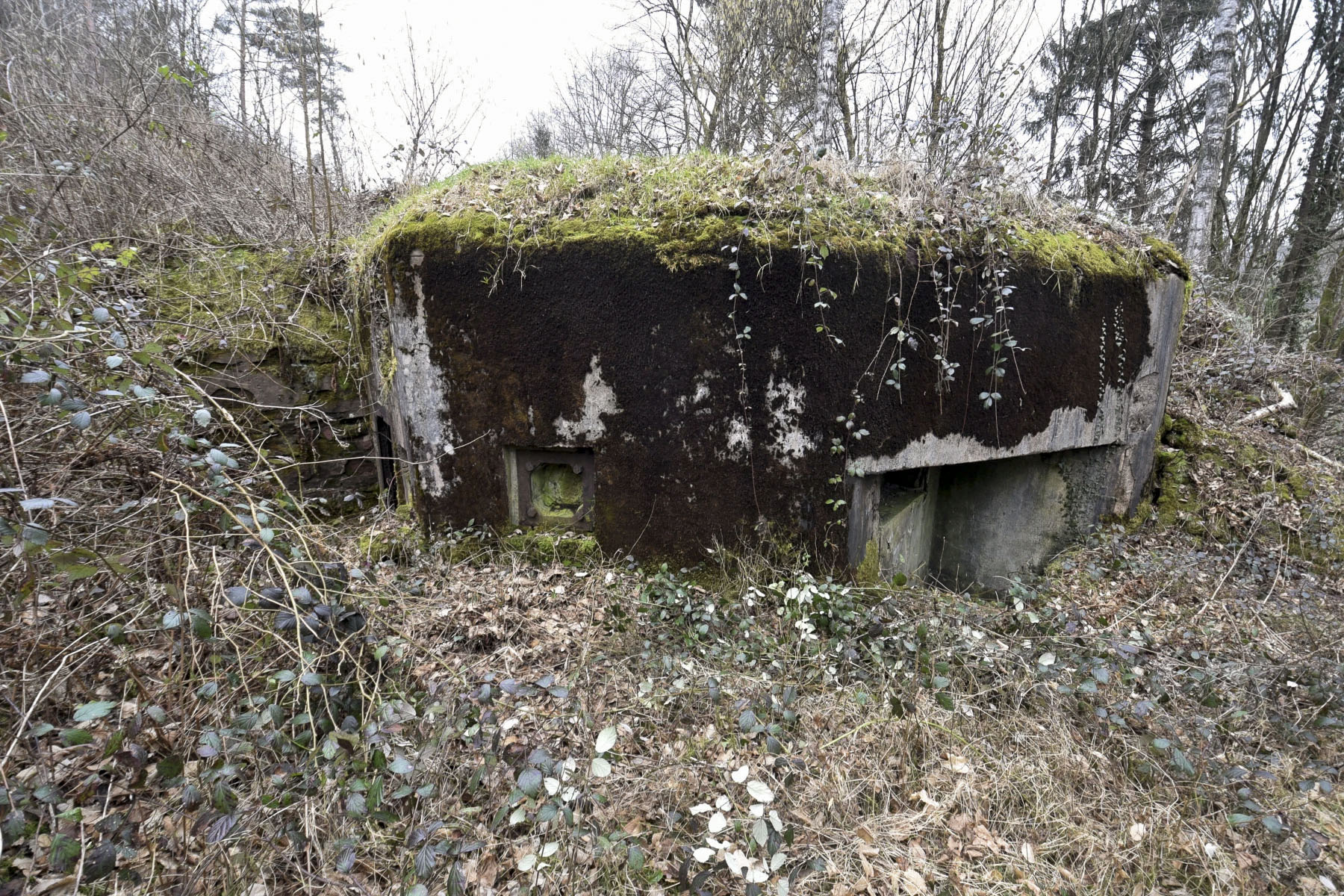 Ligne Maginot - LANGENACKER OUEST - (Blockhaus pour arme infanterie) -  - Ludovic KNAPP