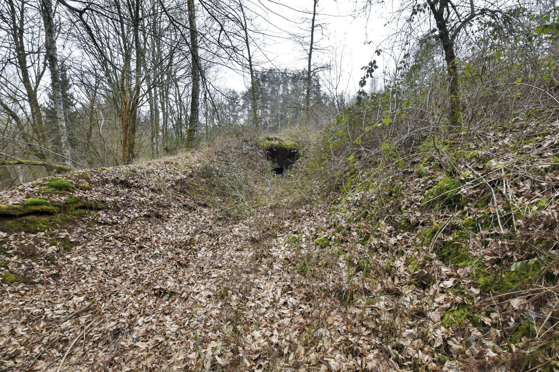 Ligne Maginot - LANGENACKER OUEST - (Blockhaus pour arme infanterie) -  - Ludovic KNAPP