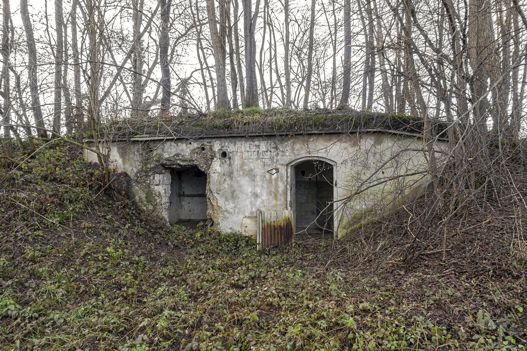 Ligne Maginot - ALTHING - (Abri) - L'abri de piquet - David Palmer