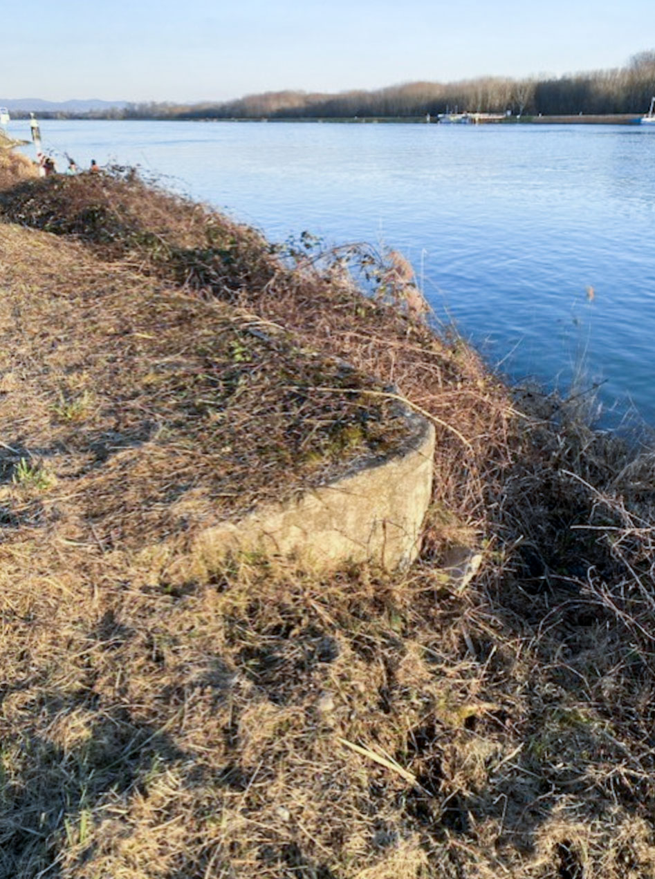 Ligne Maginot - RHINAU CENTRE - (Abri) -  - François THEILLER