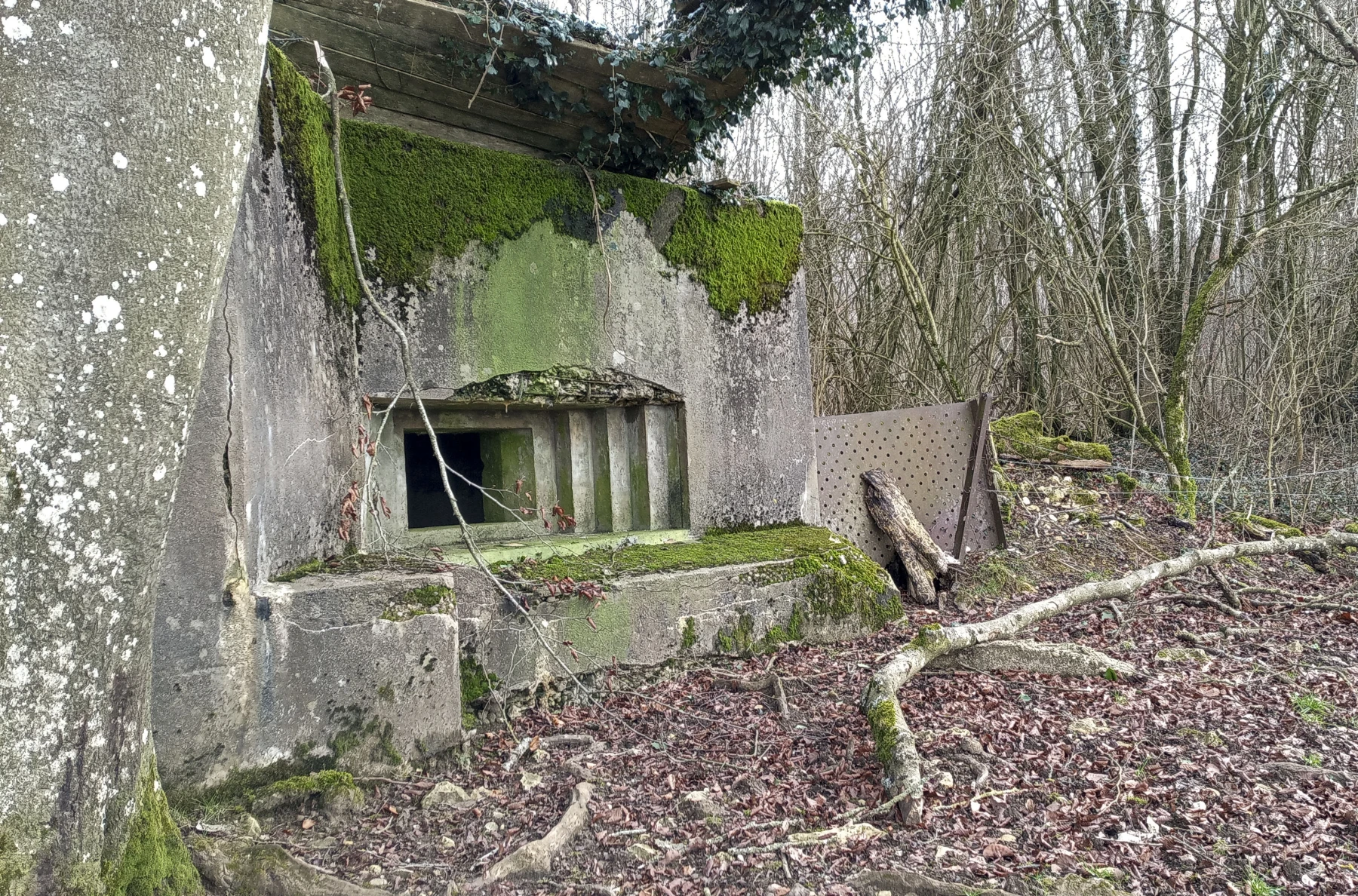 Ligne Maginot - DB342 - (Blockhaus pour arme infanterie) -  - Marc Fossoul