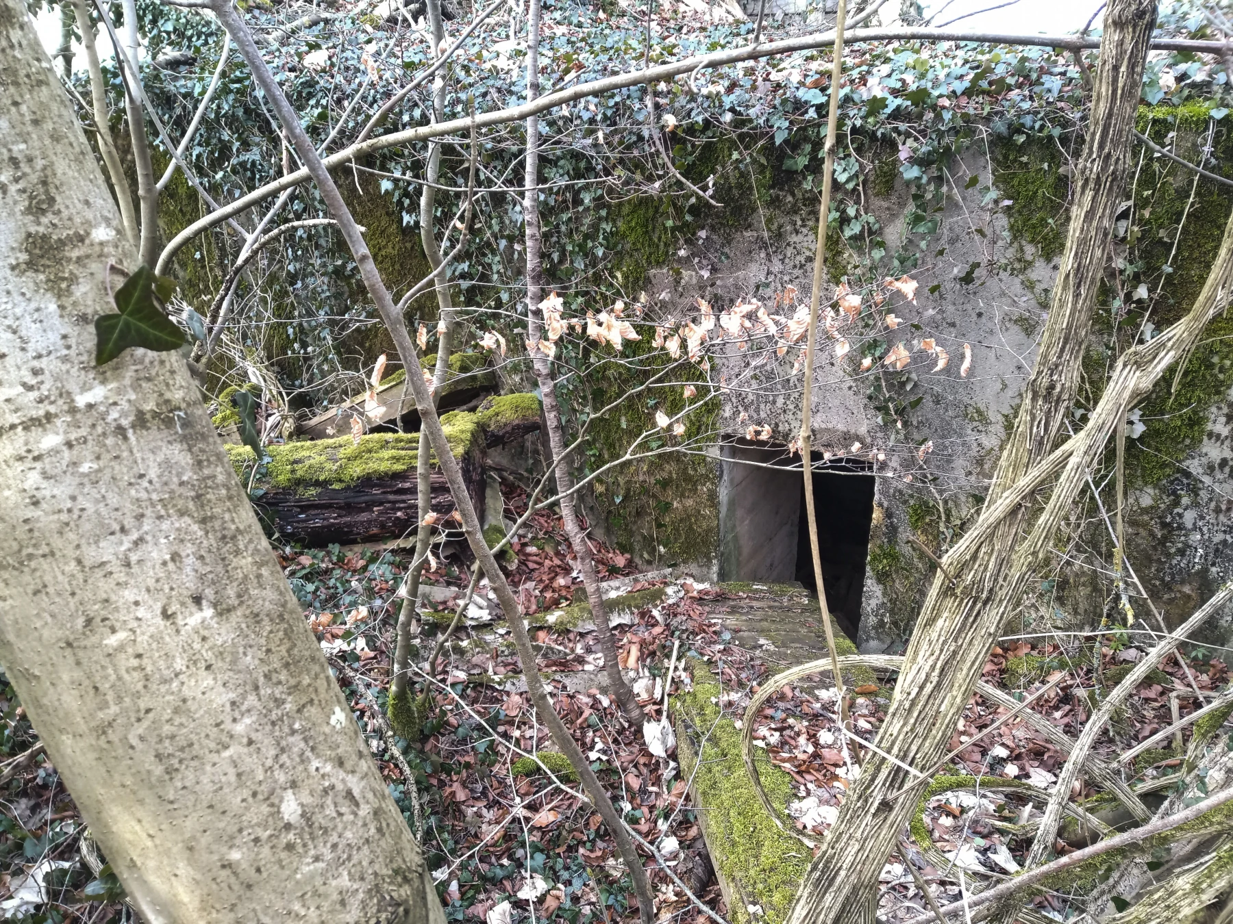 Ligne Maginot - DB342 - (Blockhaus pour arme infanterie) - L'entrée - Alexis Locatelli