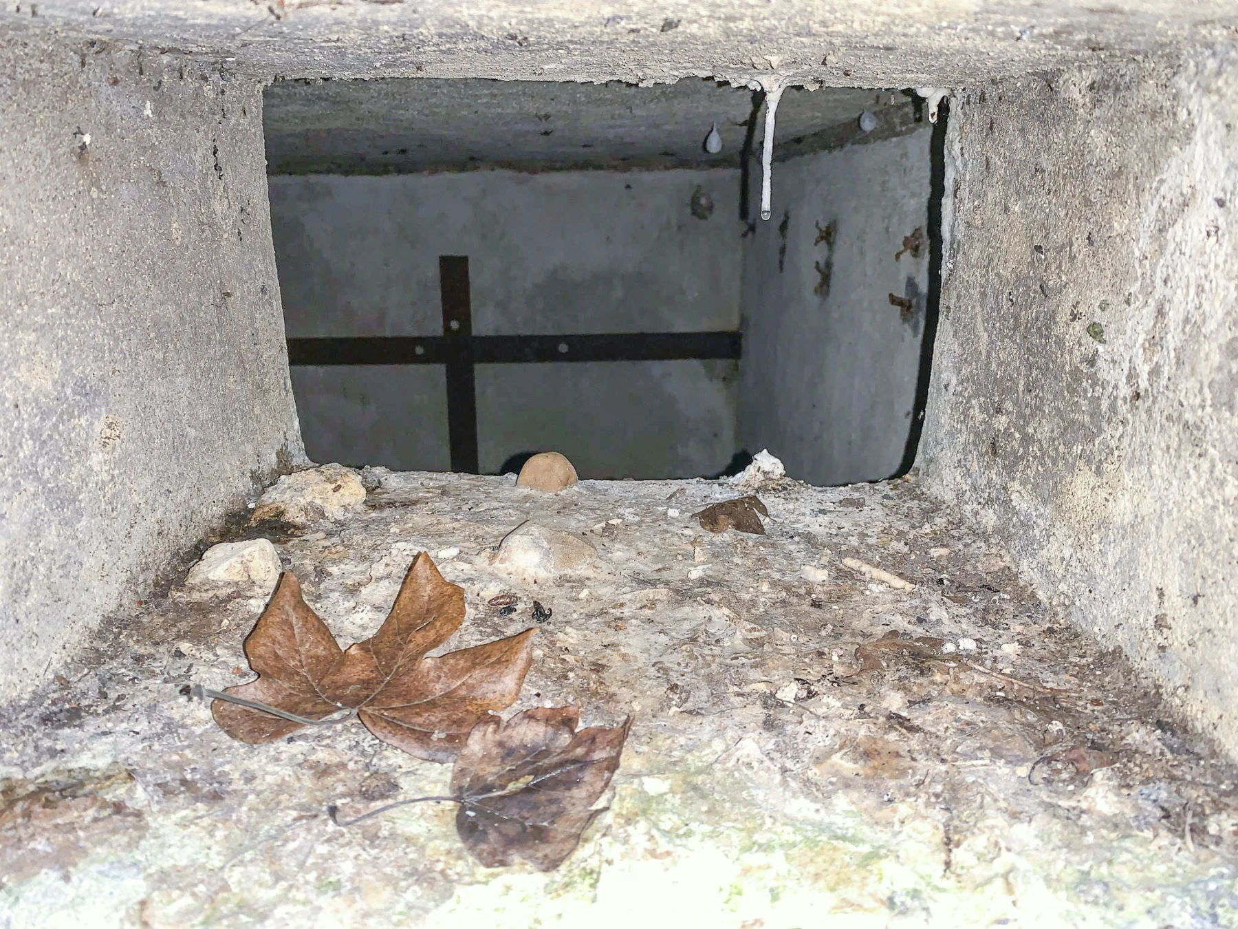 Ligne Maginot - 3LBIS - (Chambre de coupure) - Guichet entre le couloir et la pièce - Alexis Locatelli