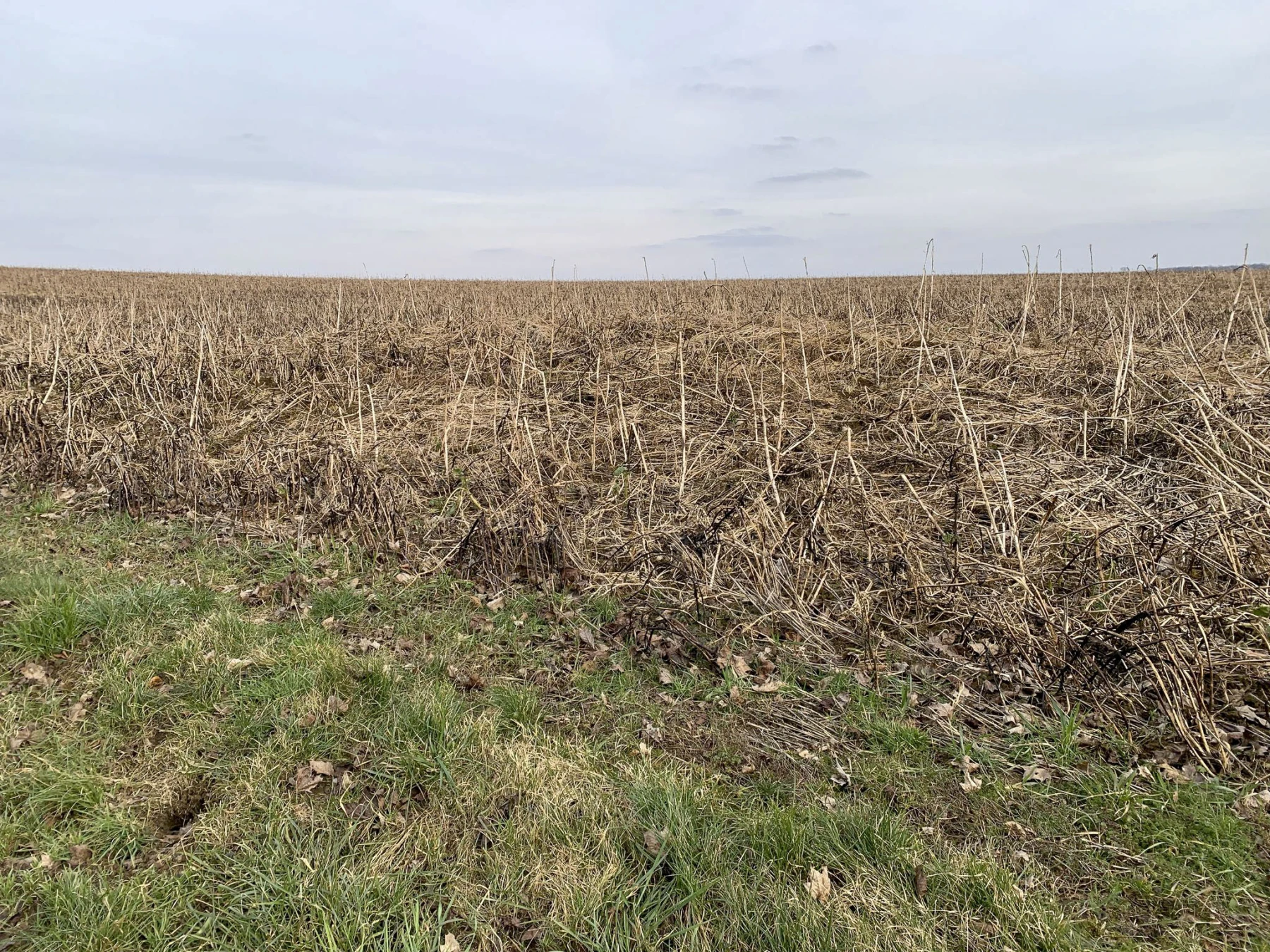 Ligne Maginot - 4LBIS - (Chambre de coupure) -  - Alexis Locatelli